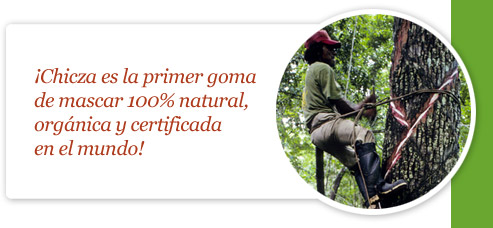 Chicza es la primer goma de mascar 100% natural, organica y certificada en el mundo! ! Fulvio Eccardi 